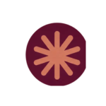 starburst_logo_same_size